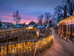 Vánočně nasvícená zoo přidala ještě více světýlek a rozšířila otevírací dobu