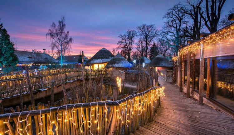 Vánočně nasvícená zoo