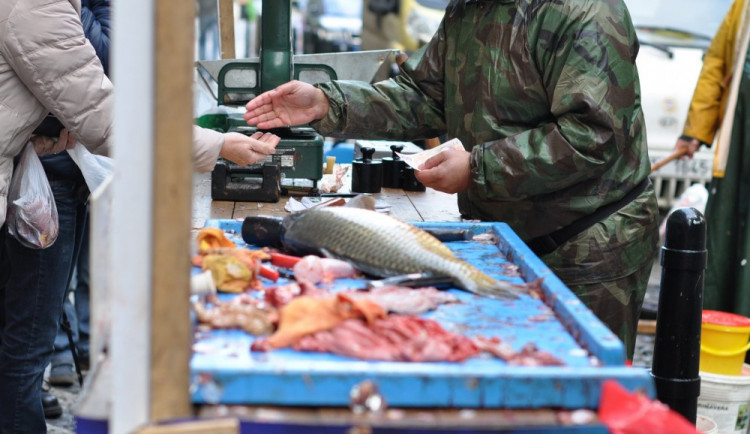 Ilustrační fotografie