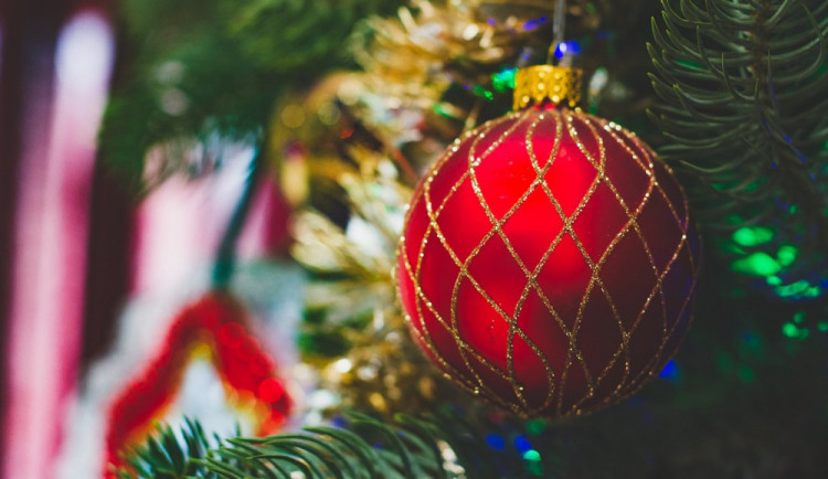 Vánoční stromek zavoní, nebo také ne