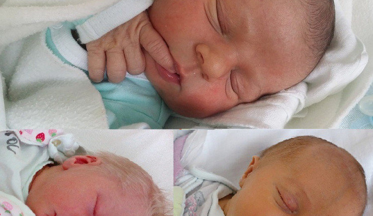 Koláž říjnových drbňátek.