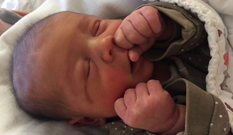 První letošní jihočeské miminko Adam Loskota.