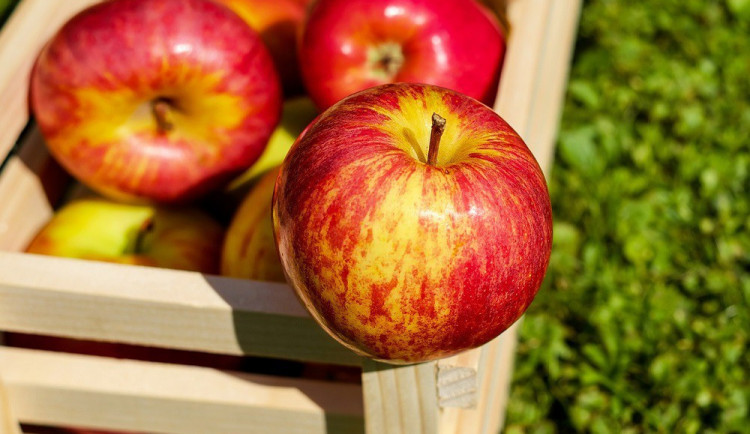 V Česku se prodávají polská jablka, která mají sedmkrát více pesticidů, než povoluje zákon