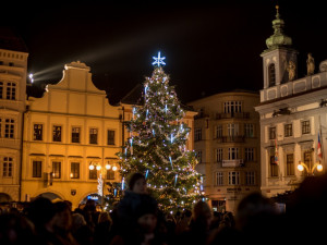 Budějcké náměstí se rozloučí s nejkrásnějším vánočním stromem