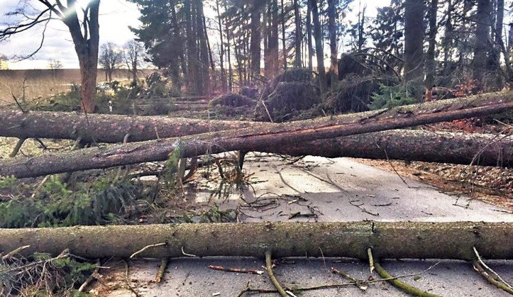 Ilustrační fotografie