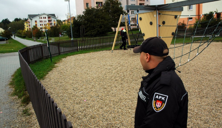 Asistent prevence kriminality