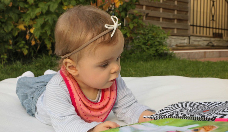 Ilustrační fotografie