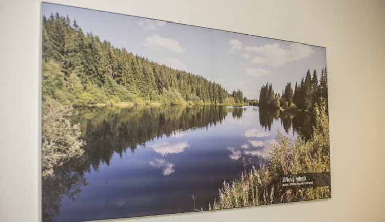 Odpočinkovou zónu zdobí unikátní fotografie