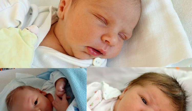 Listopadová drbňátka, Kateřina Davidová, Jasmine Houfková a Tobiáš Tondl.