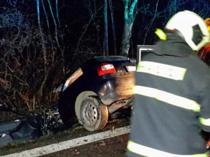 Tragická dopravní nehoda u obce Sedlec na Českobudějovicku si vyžádala jeden lidský život.