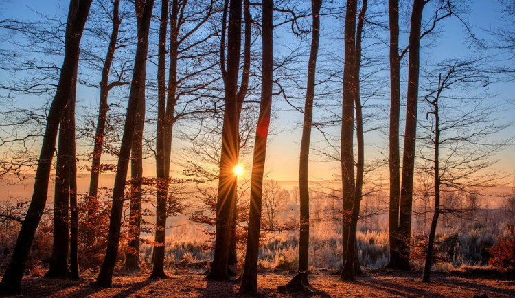 Ilustrační fotografie