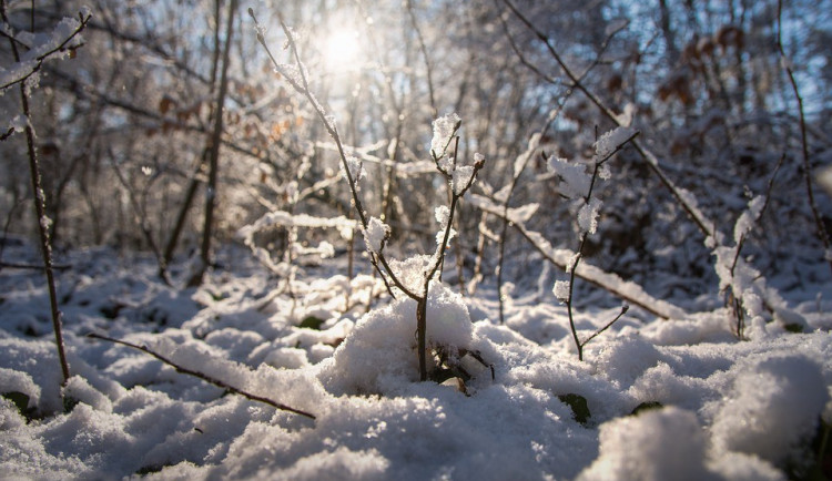 Jih Česka podle meteorologů zasáhne silné sněžení