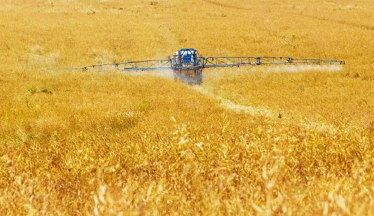 Půda je plná pesticidů, i těch léta zakázaných. Škodlivé látky se dostávají také do vody