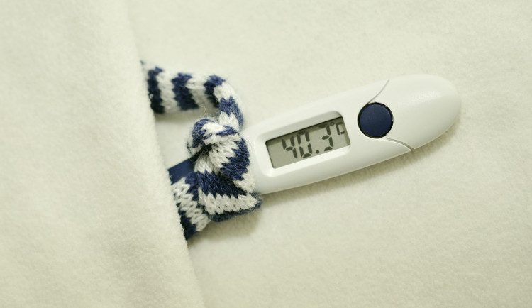 Počet pacientů s chřipkou se na jihu Čech opět zvýšil