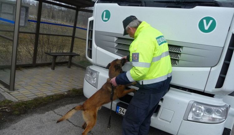 Jihočeští celníci přispěli loni do státního rozpočtu částkou 4,2 miliardy korun.