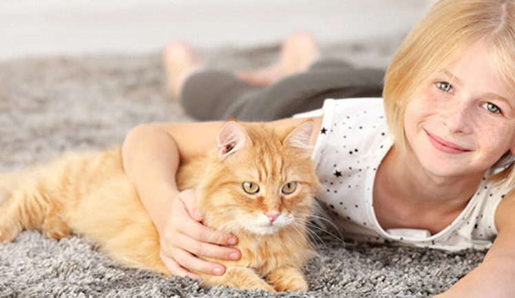 Legenda ve světě podlahových krytin, společnost Koberce K+K,  v letošním roce slaví pětadvacet let výročí od svého vzniku.