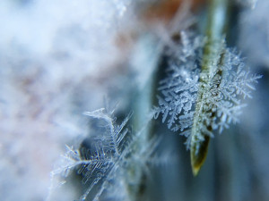 Nejnižší teplotu naměřili meteorologové na šumavském vrcholu Plechý. Rekordy nepadly