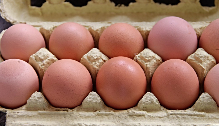 Ilustrační fotografie