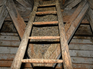 Z podzemí do nebes