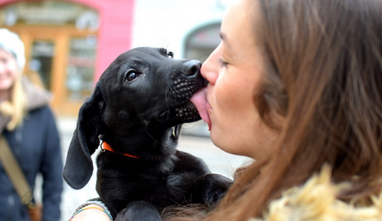 Nehlaďte ji, žere... lejna.