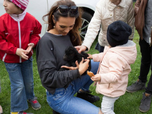 Spoustu zábavy hlavně pro rodiny s dětmi chystají na sobotu 31. března v Hluboké nad Vltavou. Velikonoční akce začne v areálu zoologické zahrady a na nádvoří Loveckého zámku Ohrada ve 13 hodin a potrvá až do 17 hodin.
