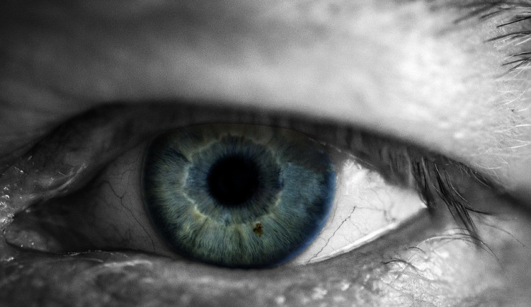 Ilustrační fotografie