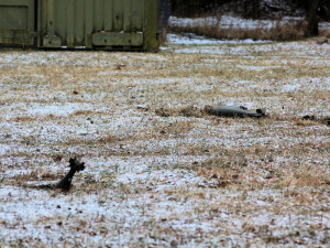 Scénáře simulují situace, se kterými se mohou vojáci setkat při nasazení v zahraniční operaci