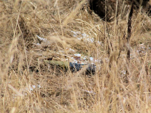 K identifikaci cíle mají vojáci tři minuty