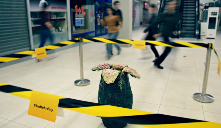 Vetřelčí vejce v Igy v Českých Budějovicích.