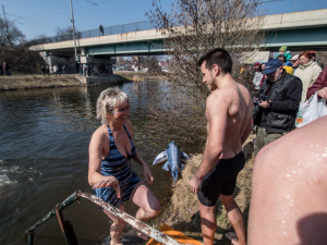 Promrzlé pijavice ukončili otužovací sezonu posledním ponorem do Malše.
