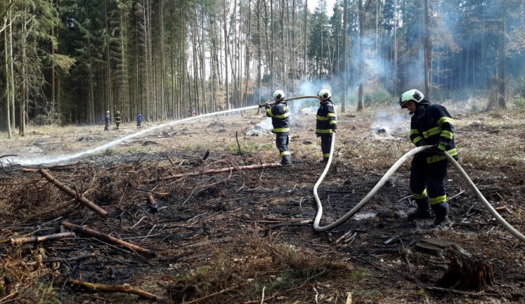 Požár hrabanky v lese v Raděticích.