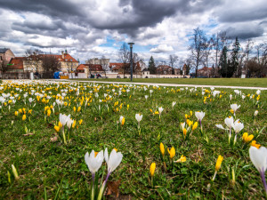 Česko zažije neobvykle teplý týden, předpovídají meteorologové