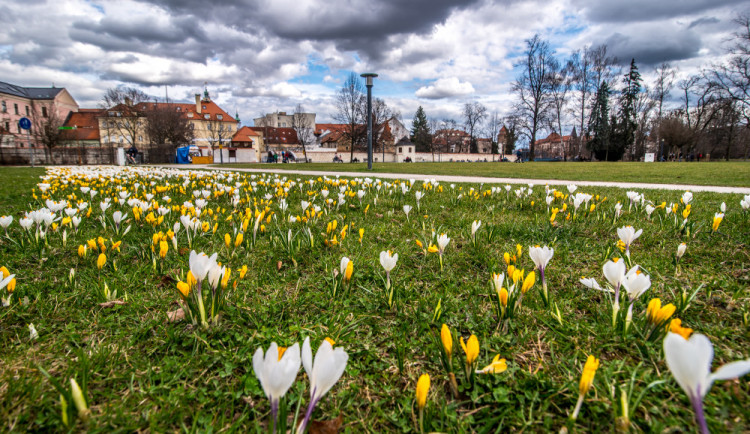 Ilustrační fotografie