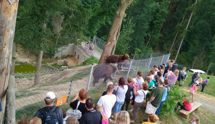 Zoo Tábor