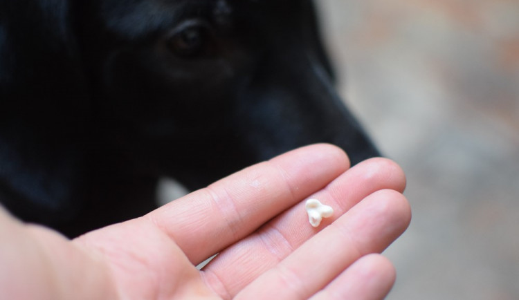 Kambodže vypadnul první zub.