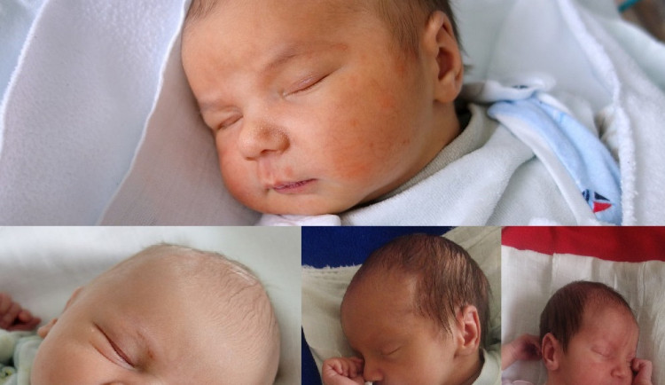 Únorová drbňátka Dominik Švejda, Jiří a Pavla Heřmanovi a Michal Kotrč.