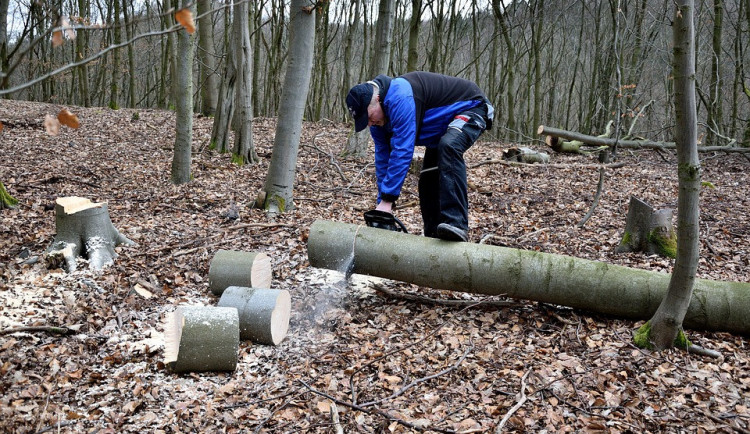 Pro těžce zraněného dřevorubce musel k Zadovu letět vrtulník