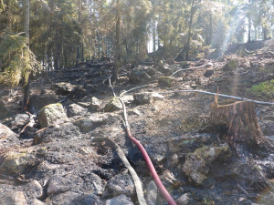 Hasiči likvidovali požár šestnáctihektarového lesa na Českokrumlovsku