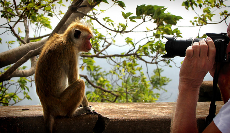 Ilustrační fotografie