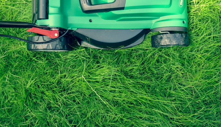 Ilustrační fotografie