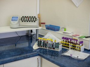 Transfúzní oddělení budějcké nemocnice.