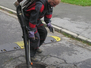 Na jaře se probouzejí k životu vosy, mravenci, potkani, ale i štěnice