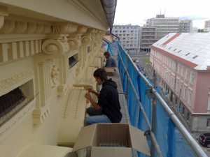 Na jaře se probouzejí k životu vosy, mravenci, potkani, ale i štěnice