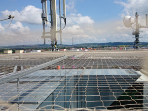 Na jaře se probouzejí k životu vosy, mravenci, potkani, ale i štěnice