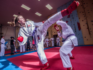 Karatisté z Čech i ciziny se utkali v dvoudenním klání v Českých Budějovicích.