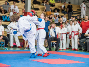 Karatisté z Čech i ciziny se utkali v dvoudenním klání v Českých Budějovicíc.h