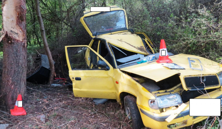 K dopravní nehodě u Božetic letěl vrtulník. Řidič s autem narazil do stromu