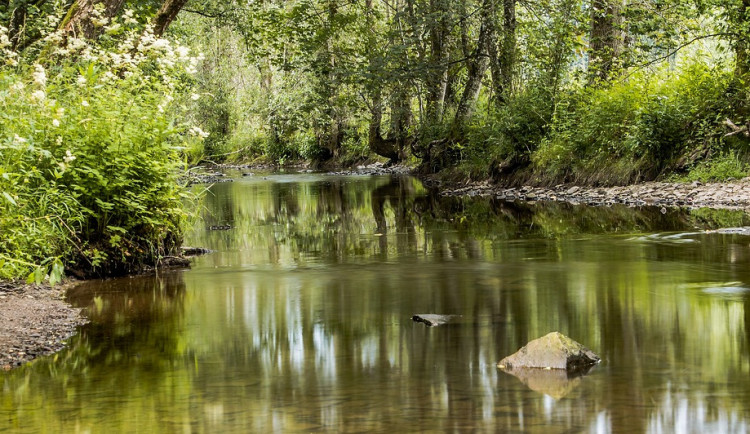 Začalo splouvání Teplé Vltavy, ale v korytu je málo vody