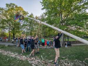 Stavění májky v Chlumci.