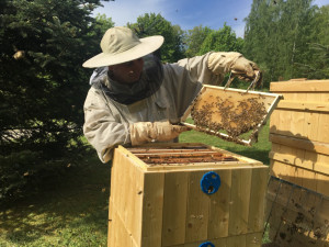 Temelín bude kromě elektřiny vyrábět i med